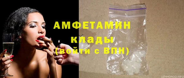 твердый Гусев