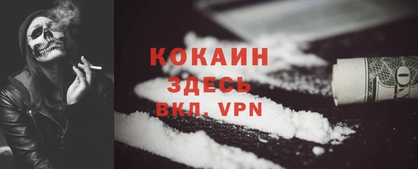 хмурый Дмитриев