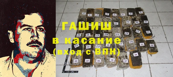 твердый Гусев