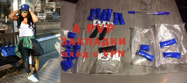 твердый Гусев