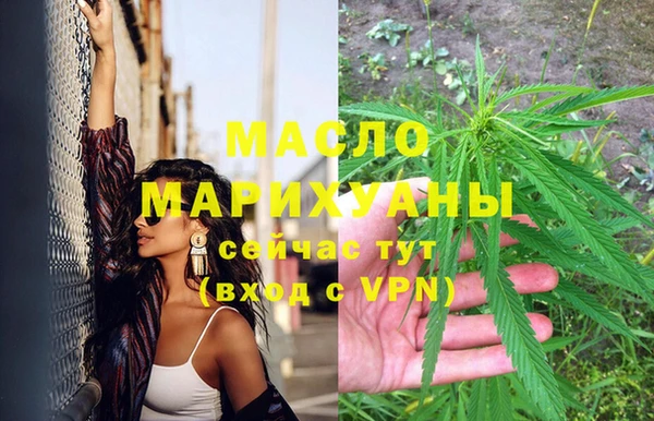 твердый Гусев