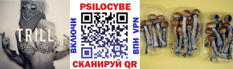 купить наркоту  Ермолино  Псилоцибиновые грибы ЛСД 